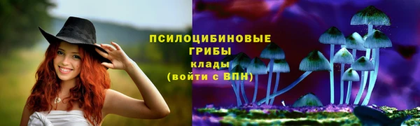 хмурый Абинск