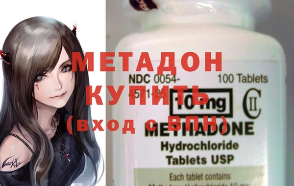 стаф Алзамай